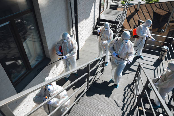 Best Mold Prevention Services  in Lolo, MT